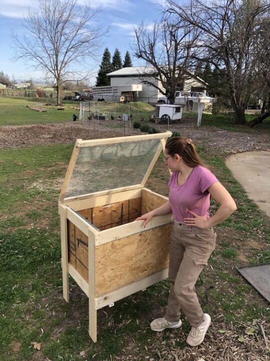DIY Chick Brooder Build Plan • Carlisle Bee