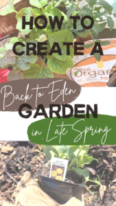 How to Create a Back to Eden Garden in Late Spring thumbnail