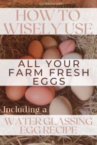 Colorful Eggs with the description of image "How to Wisely Use All Your Farm Fresh Eggs"