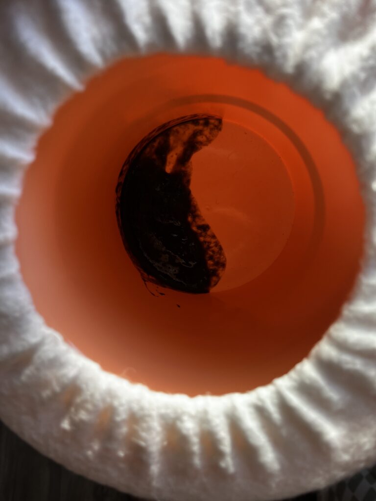 Meconium in a top hat potty