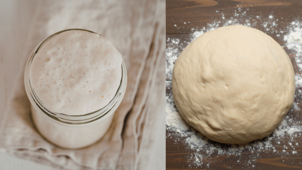How To Convert a Wet Sourdough Starter to a Dry Sourdough Starter