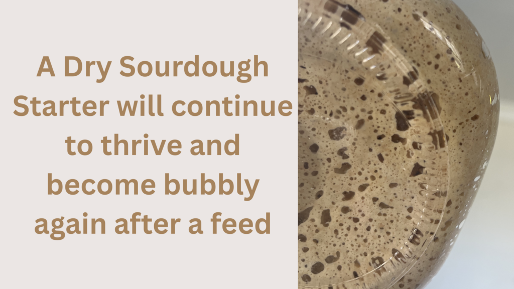 How To Convert a Wet Sourdough Starter to a Dry Sourdough Starter