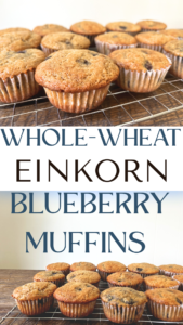 Whole-Wheat Einkorn Blueberry Muffins