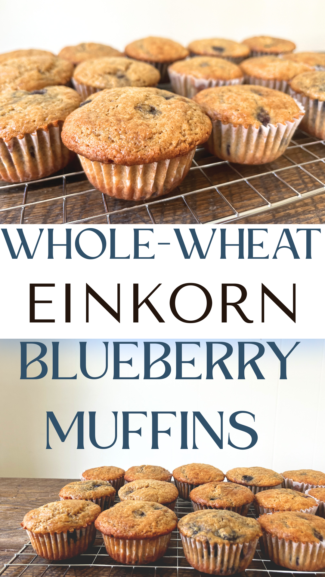 Whole-Wheat Einkorn Blueberry Muffins