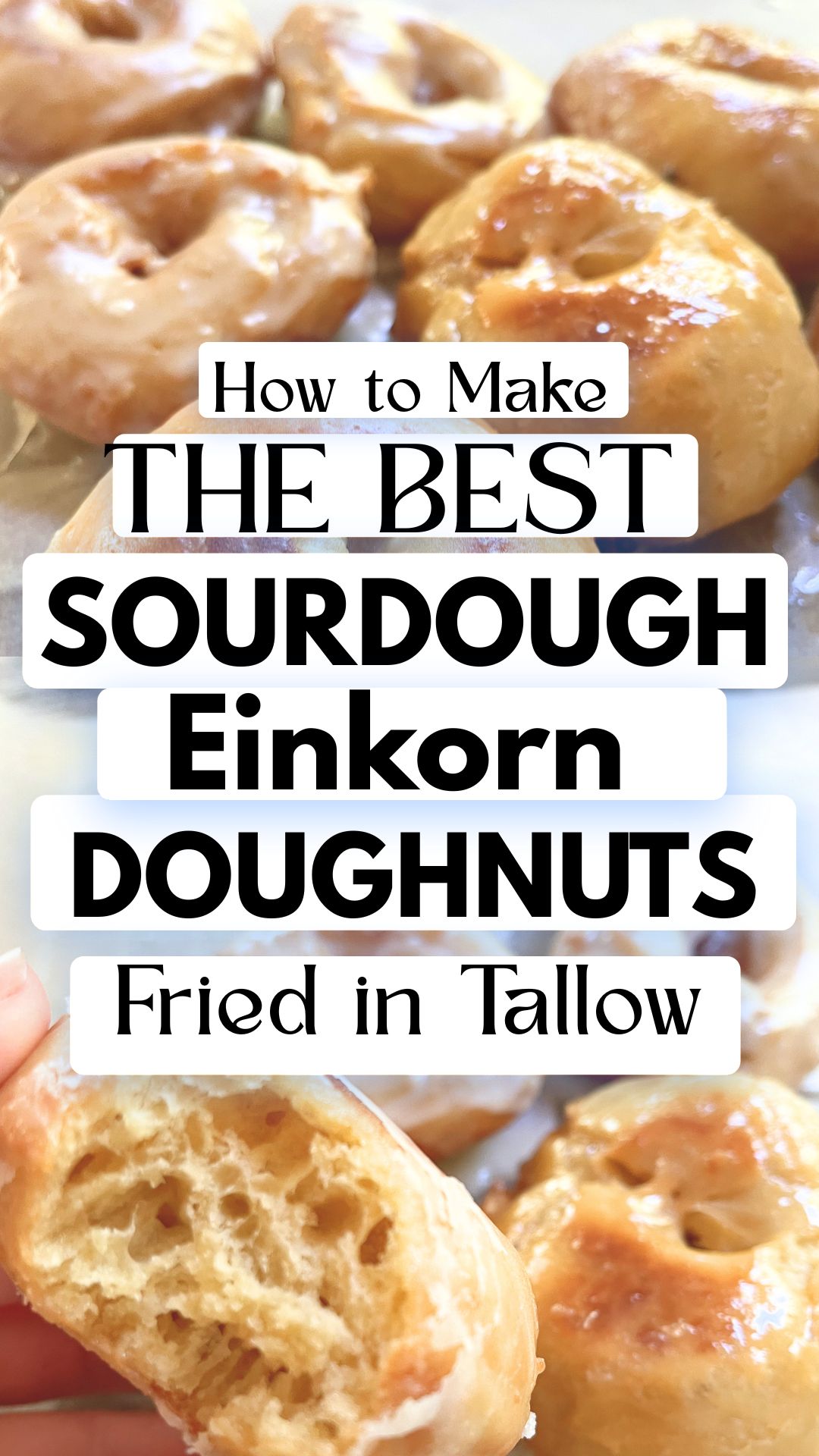 How To Make The Best Sourdough Einkorn Tallow-Fried Doughnuts